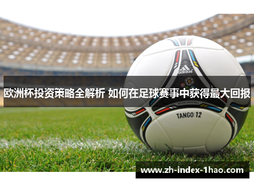 欧洲杯投资策略全解析 如何在足球赛事中获得最大回报 欧洲杯投资策略全解析 如何在足球赛事中获得最大回报